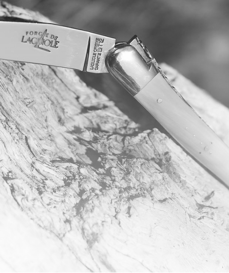 Forge de Laguiole installe sa nouvelle boutique à Toulouse : cap sur la rue boulbonne