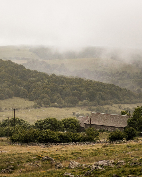 Paysage Aubrac