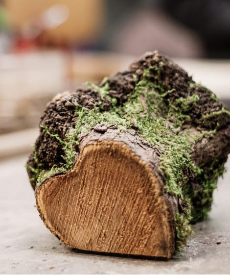 app.brand.engagement.magasine_style_bloc1_image_alt