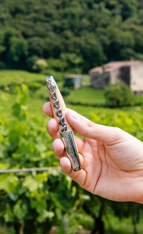 Détail Forge de Laguiole