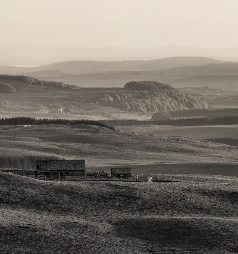 app.brand.plateau_de_aubrac.image_alt