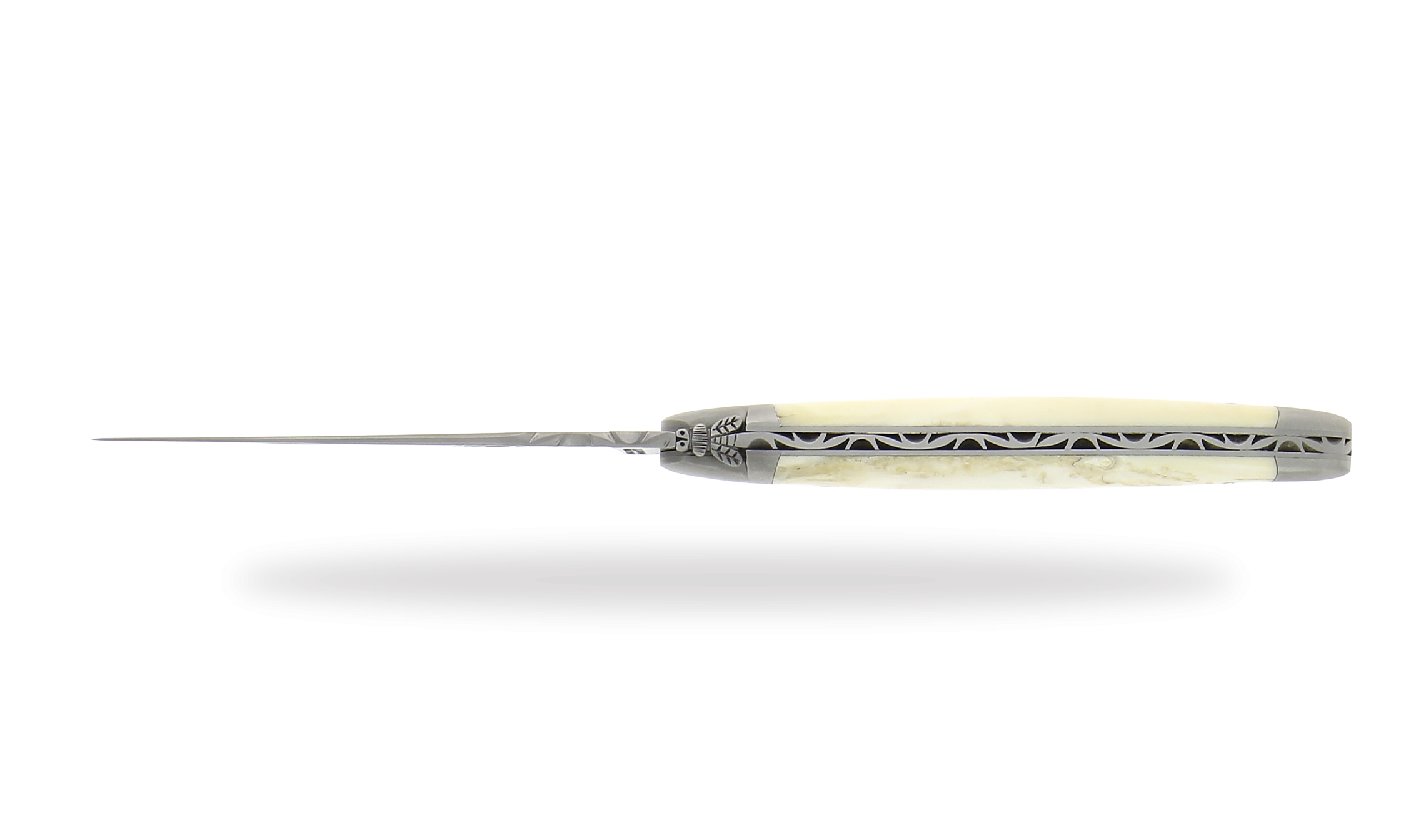 Hand engraved, warthog folding knife satin finish
