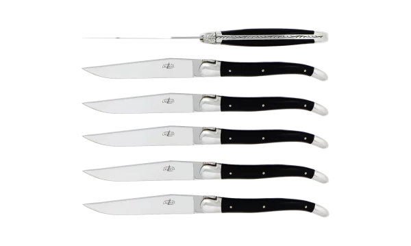 Couteaux de table Starck inox - coffret de 6