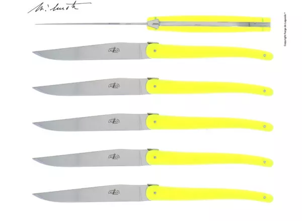 Couteaux de table Jean-Michel Wilmotte en dacryl® Citron vert, coffret de 6