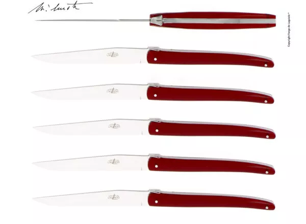 Couteaux de table Jean-Michel Wilmotte en dacryl® Lie de Vin, coffret de 6