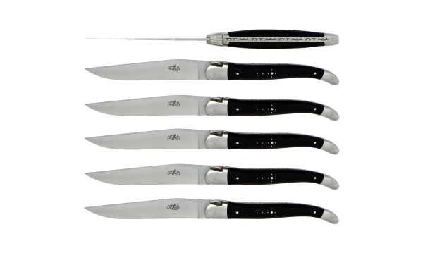 Couteaux de table satinés en ébène, coffret de 6