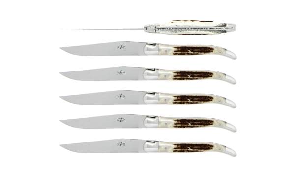 Couteaux de table brillants en bois de cerf, coffret de 6