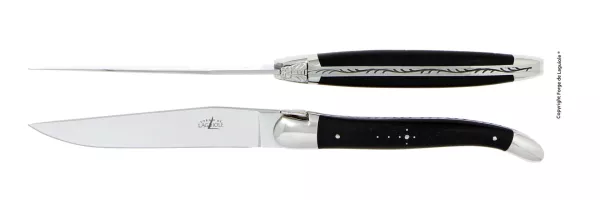 Tafelmesser, Finish glanzend mit Griff aus Ebenholz, 2er Set