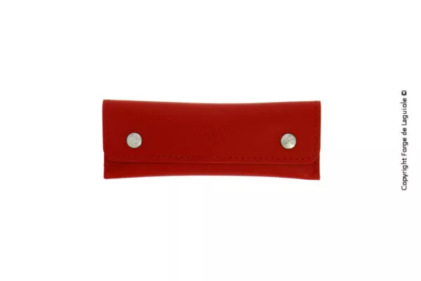 Etui en cuir rouge