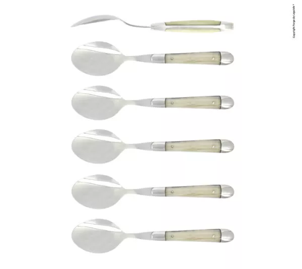 Kaffeelöffeln, finish glänzend mit Griff aus Acryl opalescence, Set mit 6