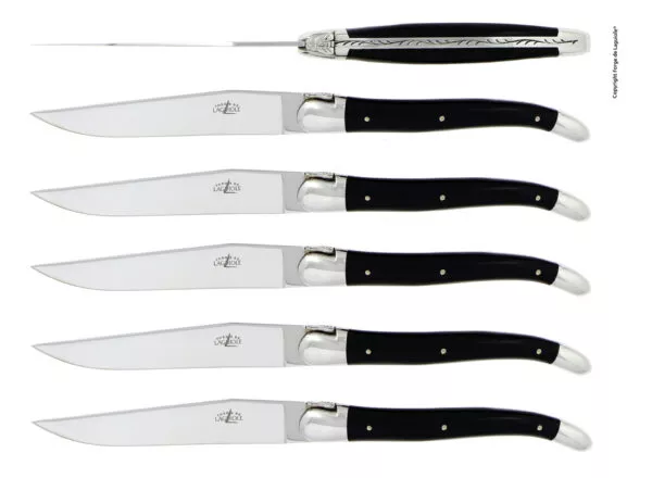 Couteaux de table brillants en Acrylique noir, coffret de 6