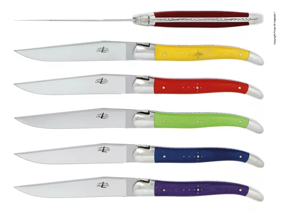 Couteaux de table brillants en tissu compressé multi, coffret de 6