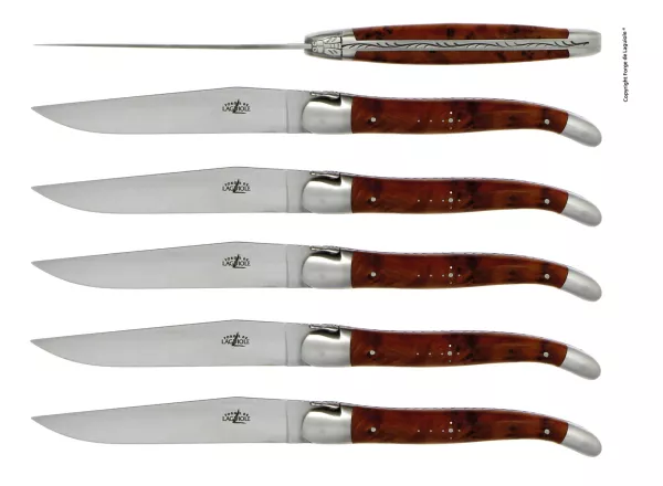 Tafelmesser, Finish matt mit Griff aus Thuja, 6er Set