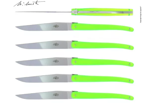 Couteaux de table Jean-Michel Wilmotte en dacryl® Vert, coffret de 6