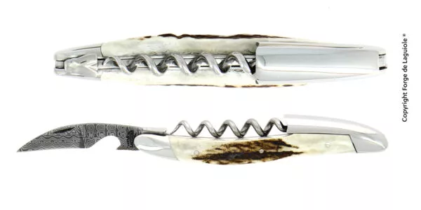 Couteau de sommelier en bois de cerf finition brillante avec lame damas