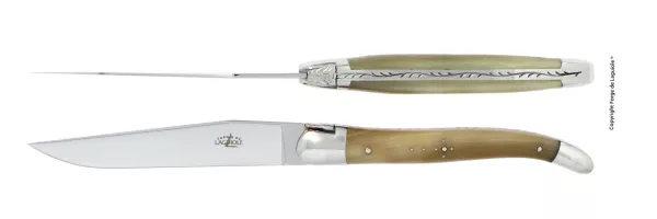 Tafelmesser, Finish glanzend mit Griff aus hellem Horn, 2er Set