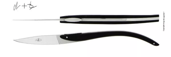 Couteaux de table C + B Lefebvre en ébène pour Anne-Sophie Pic, coffret de 2