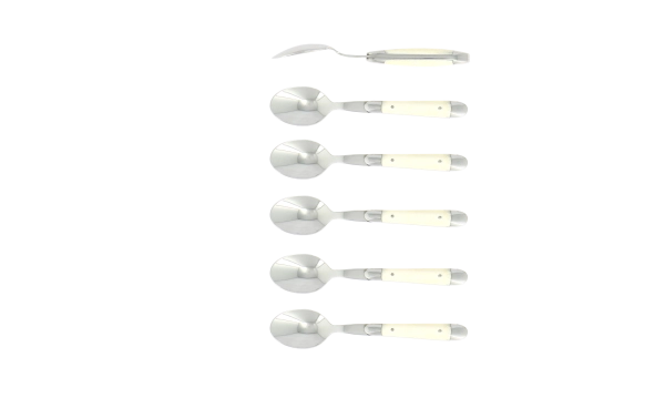 Cuillères à café, brillantes en os, coffret de 6