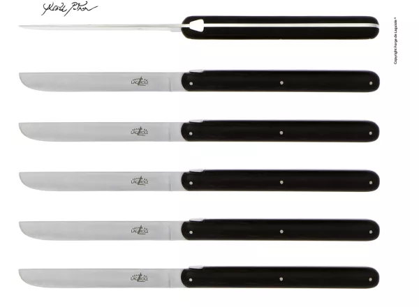 Couteaux de table Andrée Putman en ébène, coffret de 6
