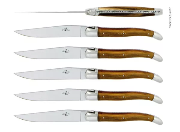 Couteaux de table brillants en pistachier, coffret de 6