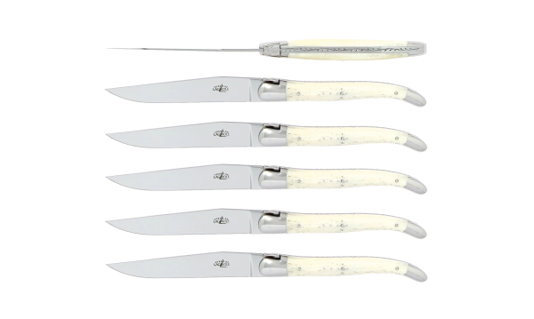 Couteaux de table brillants en os, coffret de 6