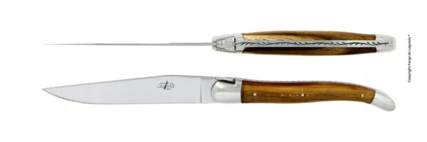 Couteaux de table brillants en pistachier, coffret de 2