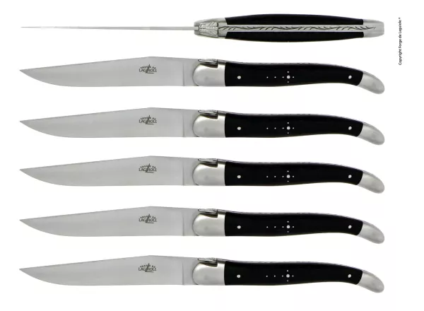 Tafelmesser, Finish matt mit Griff aus Ebenholz, 6er Set