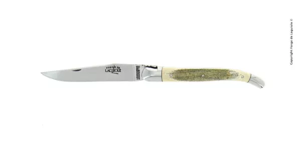 Couteau pliant ciselé main brillant en ivoire de mammouth