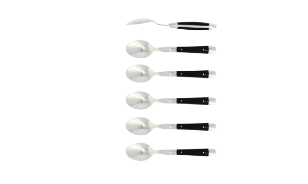 Cuillères à café, brillantes en acrylique noir, coffret de 6