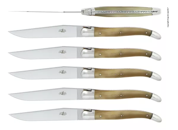 Tafelmesser, Finish glanzend mit Griff aus hellem Horn, 6er Set