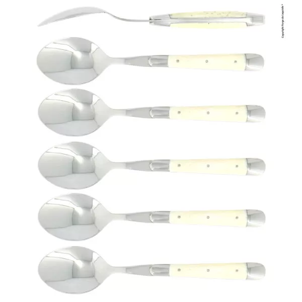Esslöffeln, Finish glänzend mit Griff aus Knochen, Set mit 6