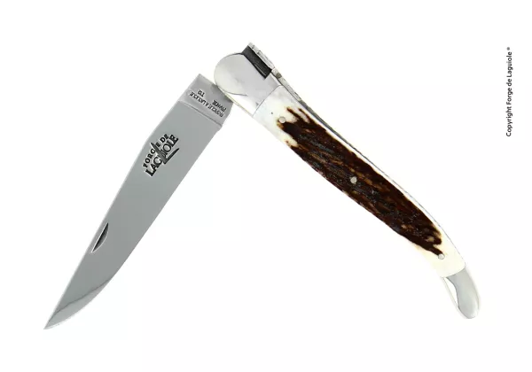 Couteau pliant 12cm en bois de cerf, mitres inox finition brillante