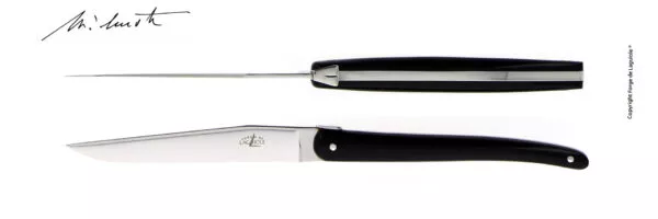 Couteaux de table Jean-Michel Wilmotte en dacryl® Noir, coffret de 2
