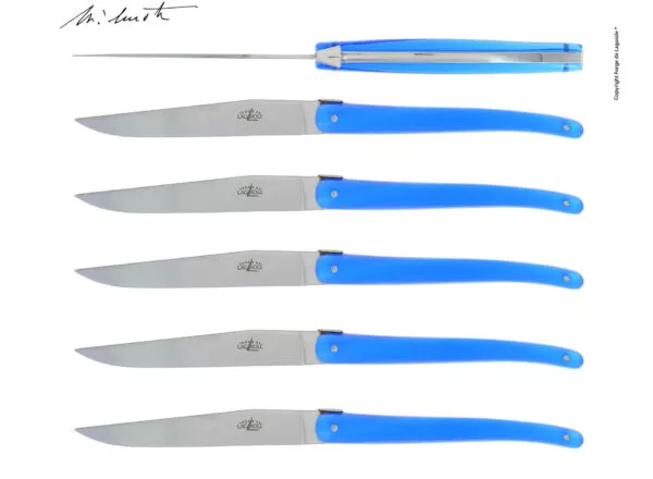 Couteaux de table Jean-Michel Wilmotte en dacryl® Bleu, coffret de 6