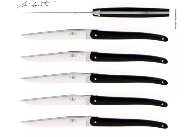 Couteaux de table Jean-Michel Wilmotte en dacryl® Noir, coffret de 6