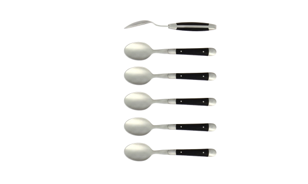 Cuillères à café, satinées en ébène, coffret de 6