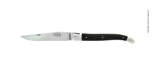 Couteau pliant ciselé main brillant en fibre de carbone