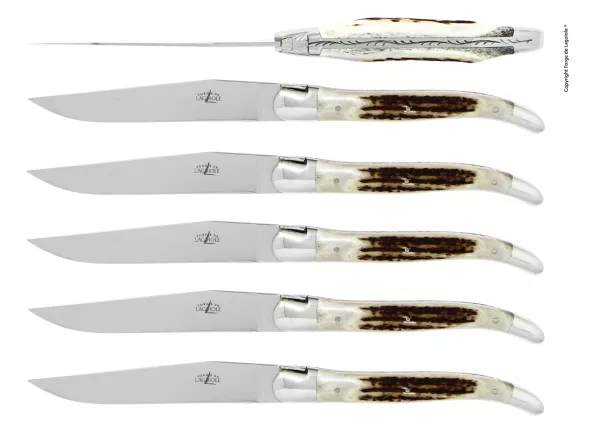 Tafelmesser, Finish glanzend mit Griff aus Hirschhorn, 6er Set