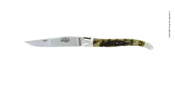 Couteau pliant ciselé main brillant en bélier (REF STOP)