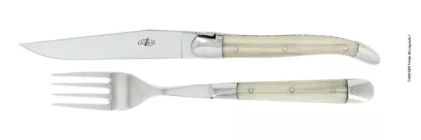 Tafelmesser und Gabel, Finish glänzend  mit Griff aus Acryl