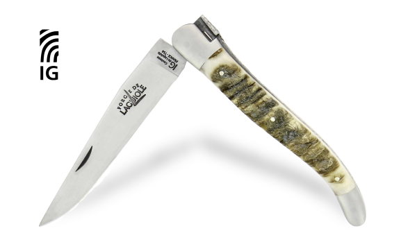 Couteau pliant 12cm en bélier, mitres inox finition satinée