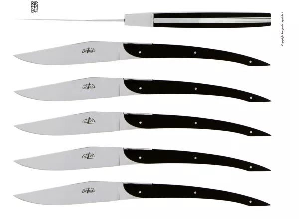 Couteaux de table Eric Raffy en acrylique noir, coffret de 6