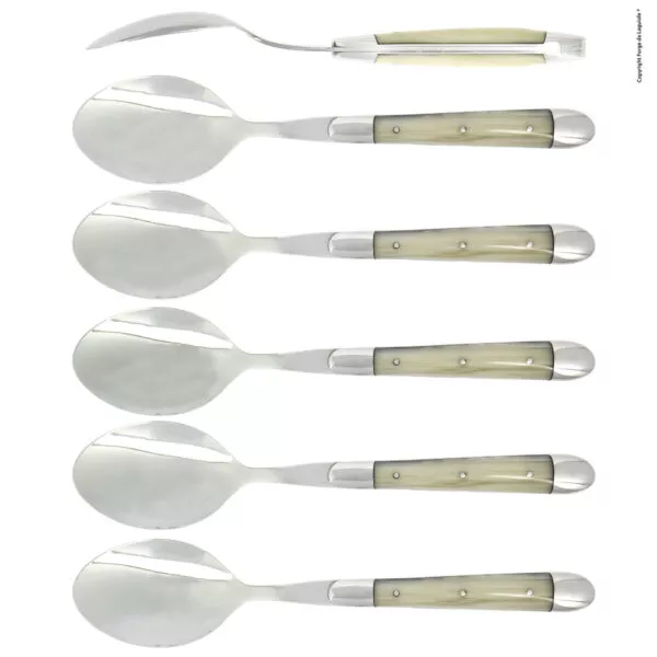 Esslöffeln, Finish glänzend mit Griff aus Acryl opalescence, Set mit 6