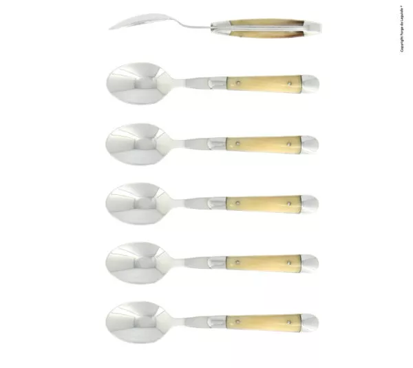 Kaffeelöffeln, finish glänzend mit Griff aus hell Horn, Set mit 6
