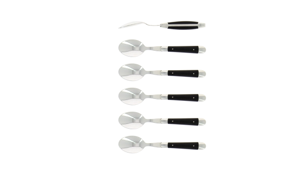 Cuillères à café, brillantes en ébène, coffret de 6