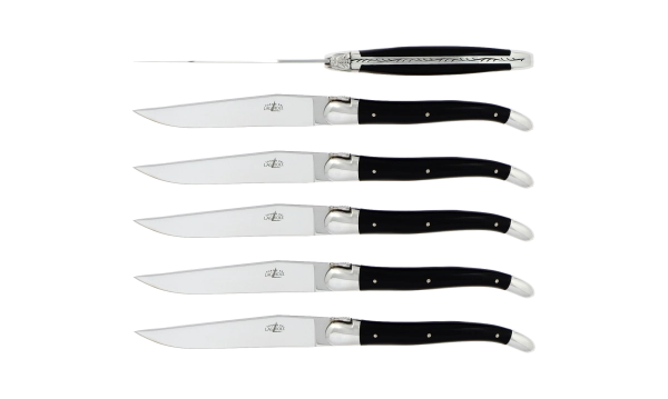 Couteaux de table brillants en Acrylique noir, coffret de 6