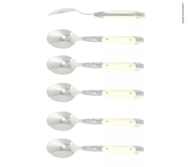 Kaffeelöffeln, finish glänzend mit Griff aus Knochen, Set mit 6