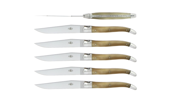 Couteaux de table brillants en corne claire, coffret de 6