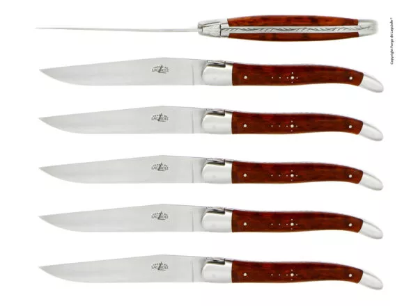 Couteaux de table satinés en Amourette, coffret de 6