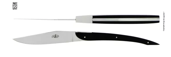 Couteaux de table Laguiole Eric Raffy en acrylique noir, coffret de 2